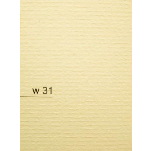 karton wiz a4 piórko krem w31